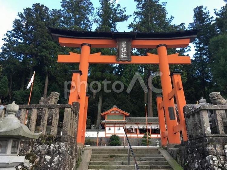 墨坂神社　鳥居　日本最古の健康の神 墨坂神社,鳥居,日本最古の健康の神の写真素材