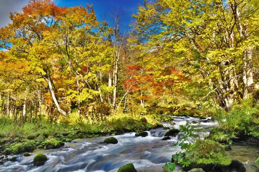 滝見橋の紅葉 北海道,阿寒,滝見橋の写真素材