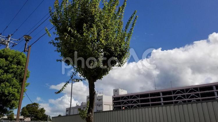 青空と町並み　【012】 青空,町並み,雲の写真素材