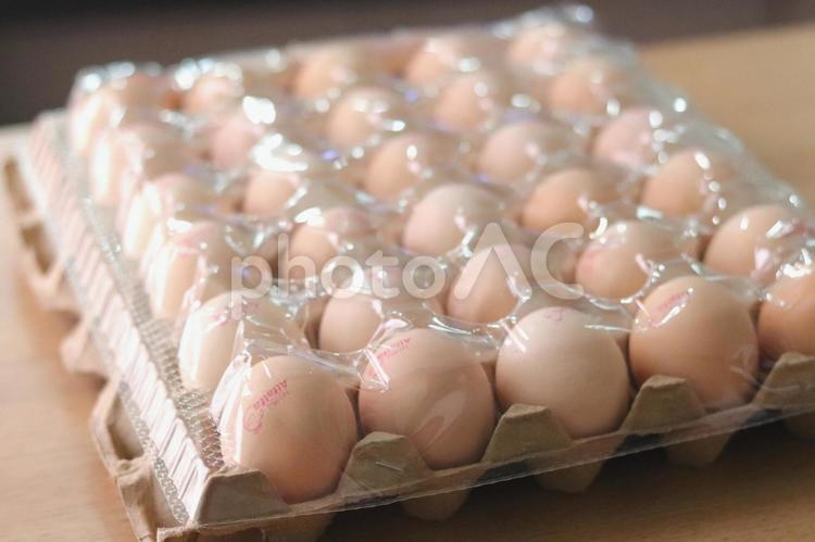斜め上から見た卵パックの立体感ある構図  卵食材,食品,パッケージの写真素材
