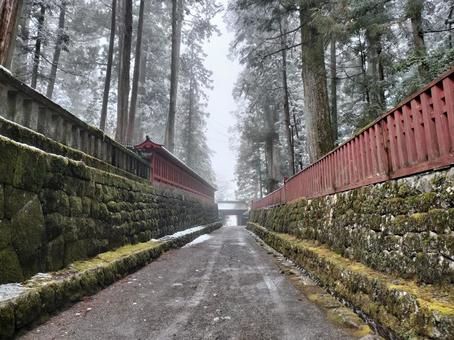 冬の日光東照宮 冬の日光東照宮 木々,雪,参道の写真素材