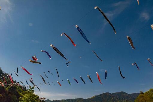 Carp streamer in the sky, karpfenausläufer, mai, ein festival, JPG