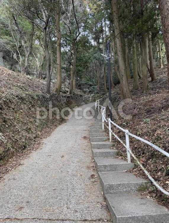 千仏鍾乳洞へ続く道 茂み,平尾台,カルスト地形の写真素材