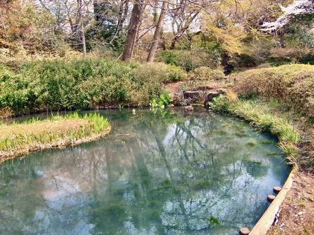 清水公園の風景-34 清水公園の風景-34 清水公園,千葉県野田市,公園の写真素材
