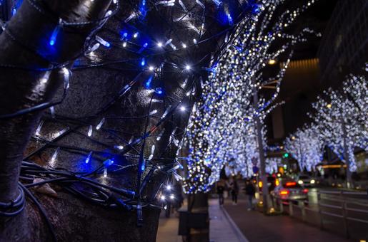 六本木けやき坂通りのイルミネーション 六本木,クリスマス,イルミネーションの写真素材