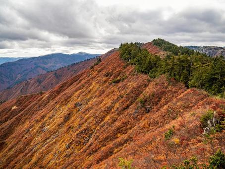 紅葉の平ヶ岳登山道 紅葉の平ヶ岳登山道の写真