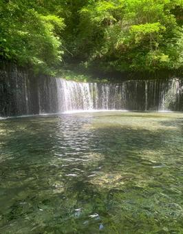 白糸の滝 白糸の滝の写真