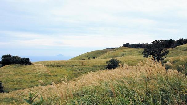 稲取細野高原のすすき野原　19の写真