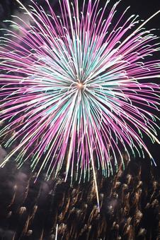 花火 花火の写真