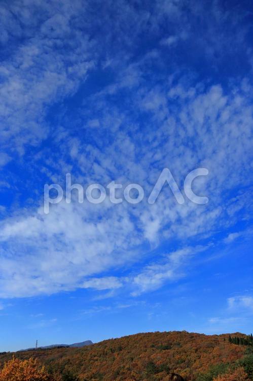 紅葉と秋の空-3 空,秋,紅葉の写真素材