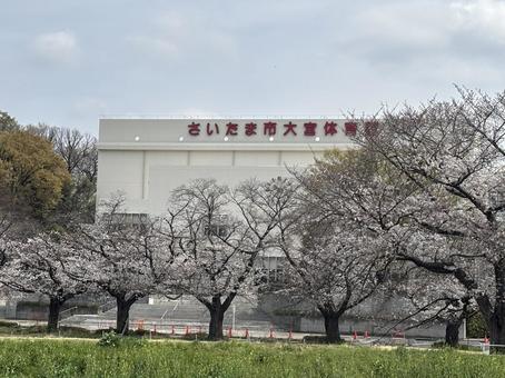 大宮体育館。の写真