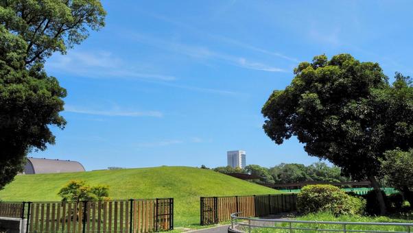 夏の夢の島公園・緑の陸上競技場(江東区) 夏の夢の島公園・緑の陸上競技場(江東区)の写真