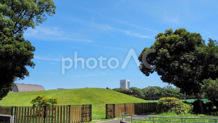 夏の夢の島公園・緑の陸上競技場（江東区） 夏,夢の島公園,陸上競技場の写真素材