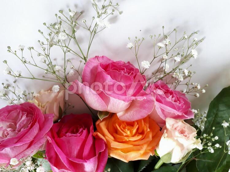薔薇　カスミソウ　素敵な花束 薔薇,バラ色,ステキの写真素材