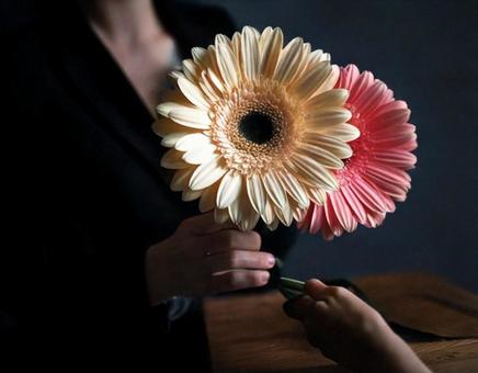 花 花の写真