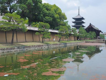 夏の水面に反射する東寺の五重塔 夏の水面に反射する東寺の五重塔 東寺,五重塔,観光地の写真素材