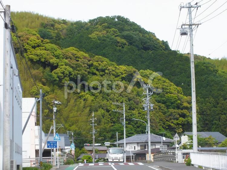 もこもこもこと　若葉が茂る春の山 若葉,新緑,春の写真素材