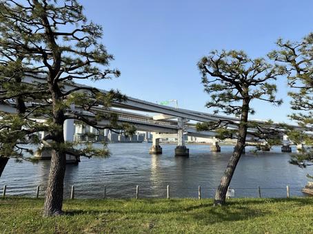 2025年春　昼間の東京お台場の風景 都心,さわやか,りんかい線の写真素材