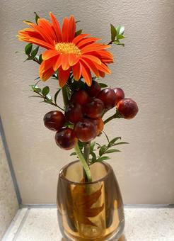 Orange gerbera flower vase, JPG Orange gerbera flower vase, JPG