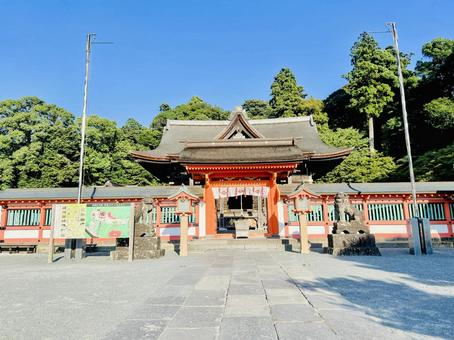 高良大社 高良大社 景色,木,風景の写真素材