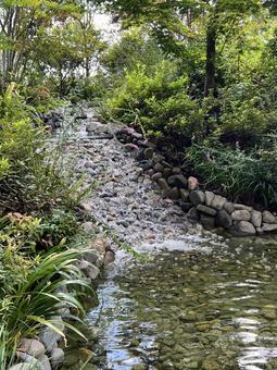 庭園の小さな滝 庭園の小さな滝 滝,水,流れの写真素材