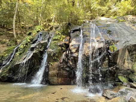 金引きの滝 金引きの滝 日本の滝100選,男滝,女滝の写真素材