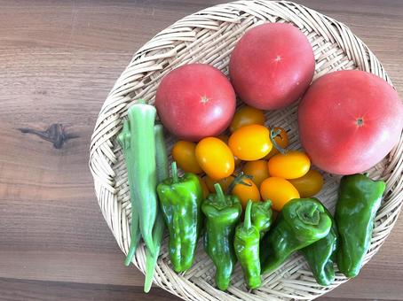 Photo, summer vegetables, vegetables, tomato, 