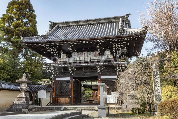 梅宮大社（京都市右京区）日本最古酒造の神 嵐山,梅宮神社,お酒の神様の写真素材