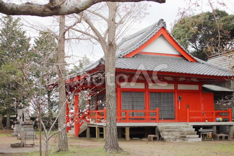 御中主神社 御中主神社,千葉県,天之御中主の写真素材