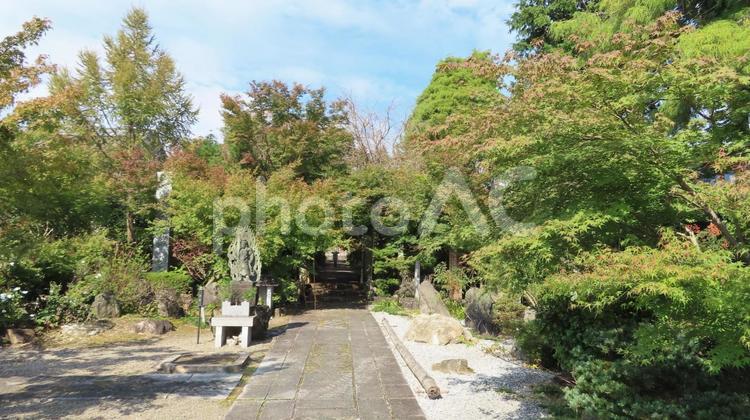 石薬師寺　境内の風景 石薬師寺,真言宗,薬師如来の写真素材