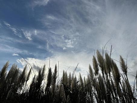 秋の空 秋の空の写真