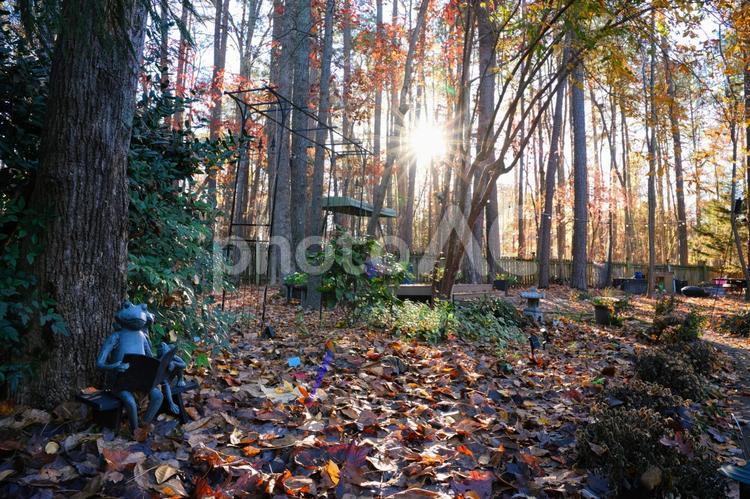 カエルの置物と朝日 素材,紅葉,季節の写真素材