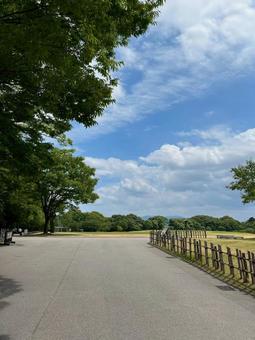 金沢城址公園 金沢城址公園 金沢城址,公園,金沢の写真素材