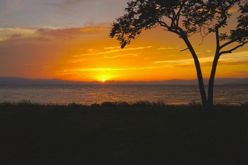近江湖の辺の道から見る夕日⑨ 滋賀県長浜 近江湖の辺の道から見る夕日⑨ 滋賀県長浜 夕日,夕陽,夕景の写真素材