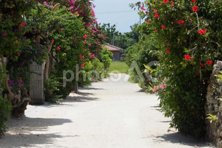 竹富島　風景 竹富島,石垣島,八重山の写真素材