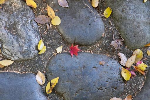石畳に落ちた紅葉と落ち葉 落ち葉,紅葉,もみじの写真素材