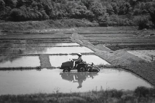 麦わら帽子姿で田を耕す農夫とトラクター 農夫,農業,農作業の写真素材