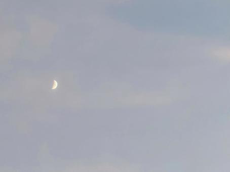 夕暮れの月 夕暮れの月の写真