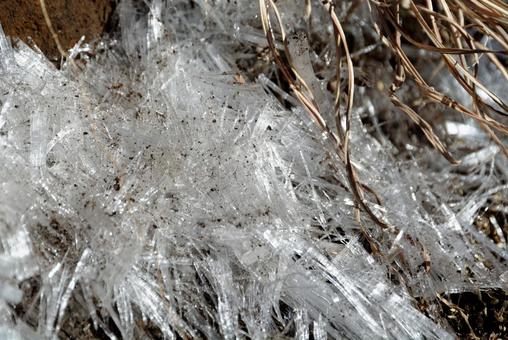しもばしら２ しもばしら,霜,冬の写真素材