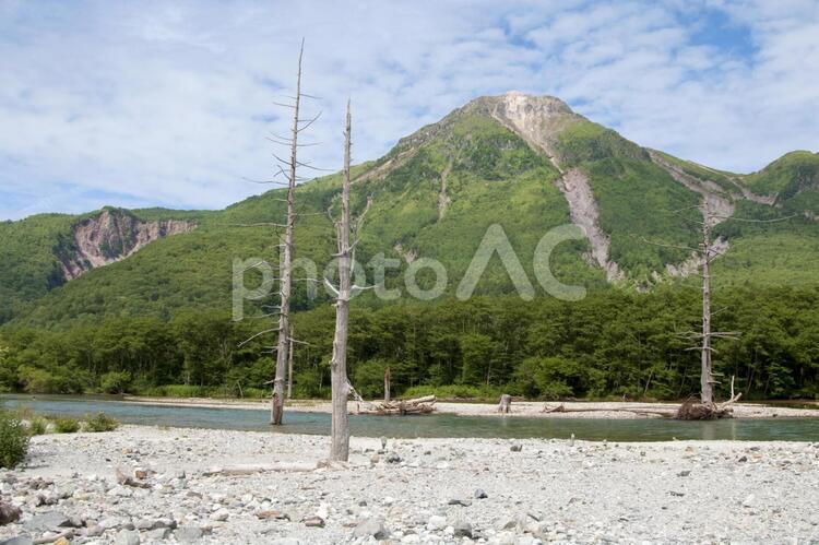 上高地_大正池-2 大正池,上高地,初夏の写真素材