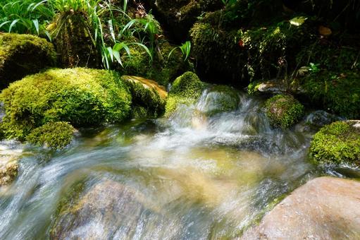 湧き出す伏流水 湧き出す伏流水の写真