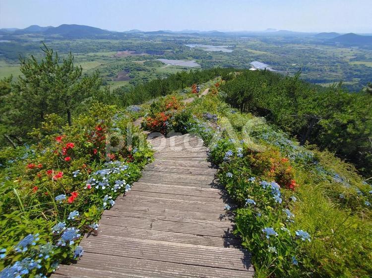 ヨンジュ山　天国の階段 ヨンジュサン,天国の階段,瀛州山の写真素材