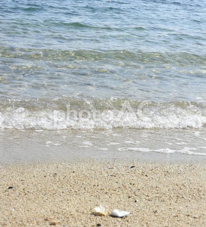 海と砂浜と貝殻 海,自然,風景の写真素材