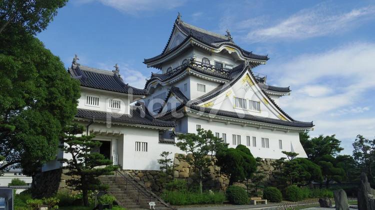 岸和田城天守閣01 城,天守閣,岸和田城の写真素材
