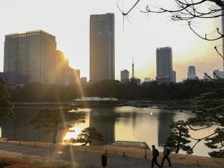 冬の浜離宮恩賜庭園 サンセット 冬の浜離宮恩賜庭園 サンセット 浜離宮恩賜庭園,浜離宮,潮入の池の写真素材