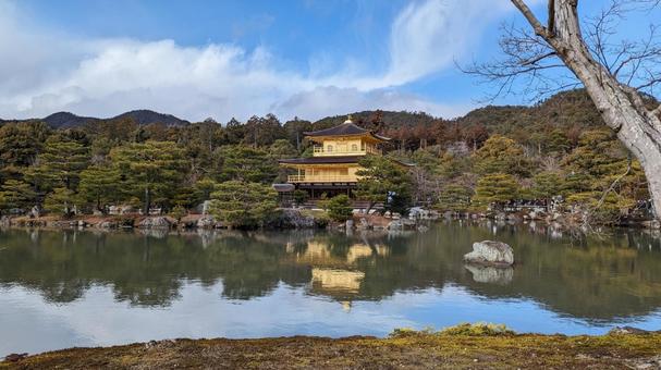 金閣寺 金閣寺 京都府,京都市,京都の写真素材