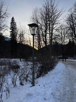 雪道にある街灯 冬季,海外,ヨーロッパの写真素材