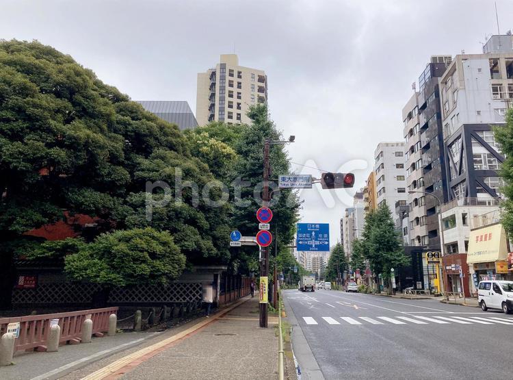 東京風景・文京区本郷 本郷,文京区,信号機の写真素材