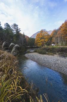 ススキ揺れる晩秋の河原の写真