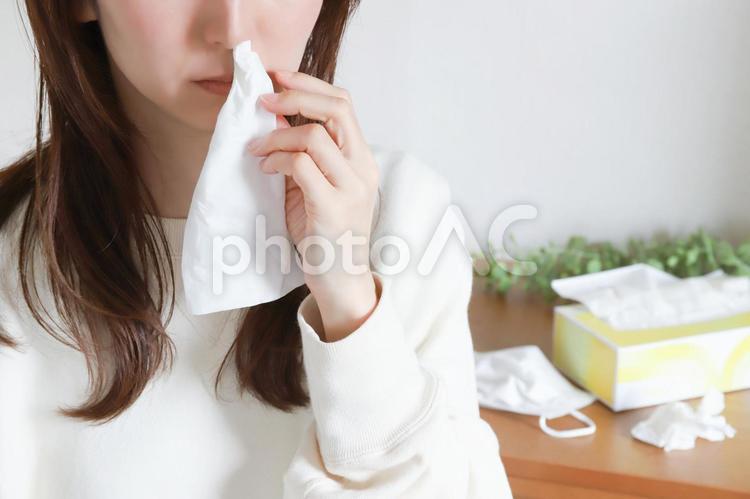 鼻水が垂れる女性 鼻水,垂れる,花粉症の写真素材